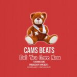 Cams Beats Drops Artwork for ‘But You Care Now’! Featuring Euno